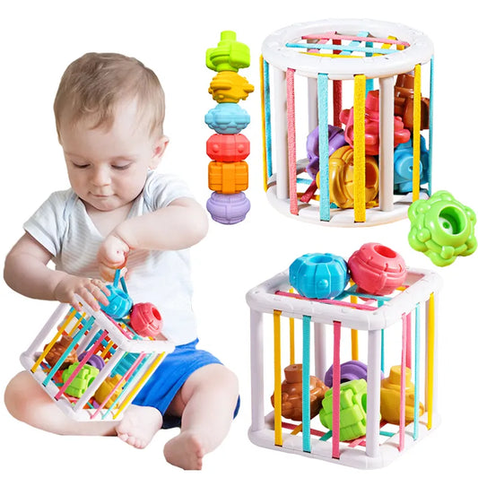 Montessori Learning Educational Toys